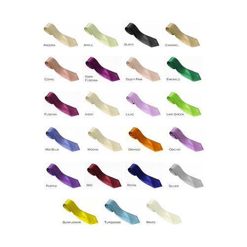 Assorted Plain Satin Tie 24 Colours